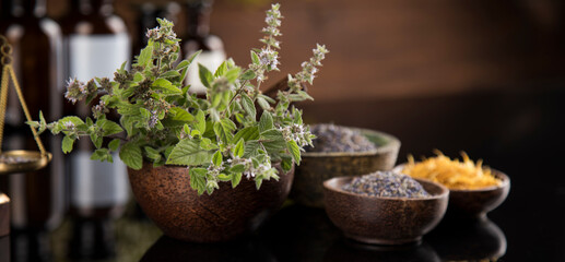 Black mirror background, Natural remedy, healing herbs
