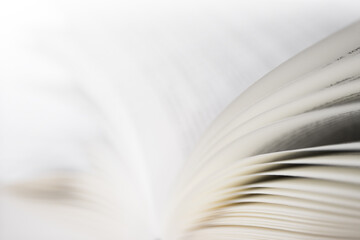 Opened book with focus on the pages right with narrow depth of field, white background