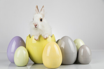 Eggs,Spring baby bunny, happy easter background