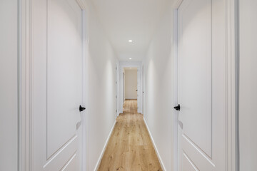Interior of long narrow hallway with closed doors, wooden floor and white walls in apartment designed in minimal style. - Powered by Adobe