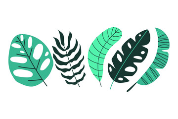Set of tropical leaves. Flat design.