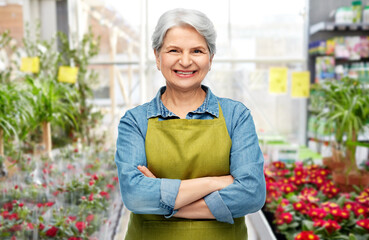 gardening, farming and old people concept - portrait of smiling senior woman in green apron with crossed arms over greenhouse at garden store on background