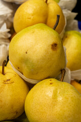 Organic pear. Close-up pear background