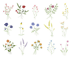 A set and meadow plants and flowers in bouquets