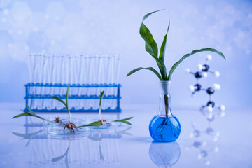 Laboratory glassware, plant laboratory experimental