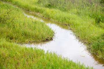 A creek surrounded by green grass