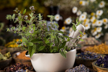 Natural medicine and mortar, healing herbs background