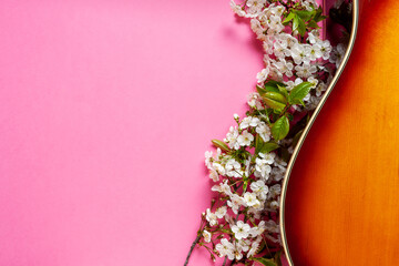 Acoustic guitar and blossoming cherry tree branches on pink  bright bold color background. Top...