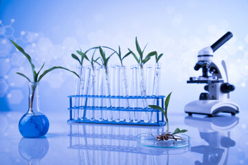 Chemistry equipment, plants laboratory experimental