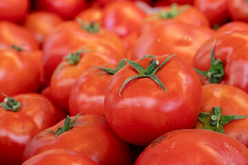 fresh red tomatoes in the market. bulk red tomatoes
