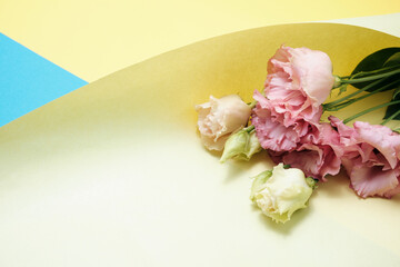 Rose buds on a colored paper background. Spring flowers. Place for text