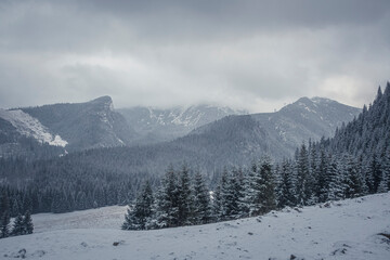 Fototapeta na wymiar Heavy snowfall in Kalatówki, Western Tatra Mountains, Poland. Clouds over the peaks, trees covered with snow. Selective focus on the forest, blurred background.