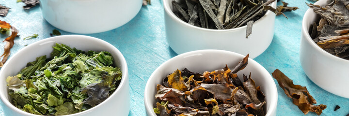 Edible seaweed panorama with various sea vegetables