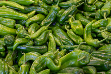 Fresh green peppers in the market. green peppers in bulk. ripe green peppers in a street market