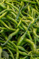 Fresh green hot peppers at the market. green peppers in bulk. ripe green peppers in a street market