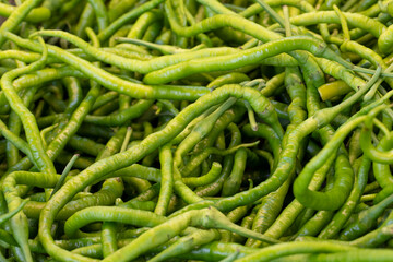 Fresh green hot peppers at the market. green peppers in bulk. ripe green peppers in a street market