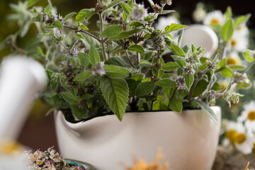 Natural remedy, mortar and herbs