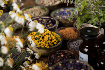 Homeopathy, herbal medicine on wooden table