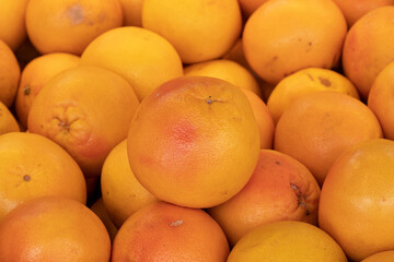fresh grapefruit in the market. Grapefruit in bulk. ripe grapefruit in a street market