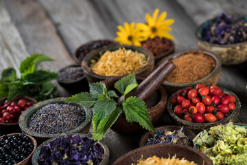Alternative medicine, dried herbs background
