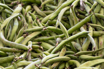 fresh broad beans in the market. Broad beans in bulk. ripe broad beans in a street market