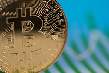 Virtual money, Currency. Bitcoin coins, financial chart