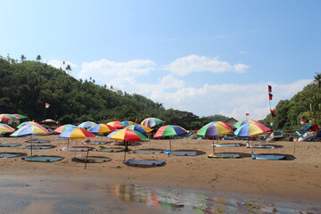 beach with umbrellas