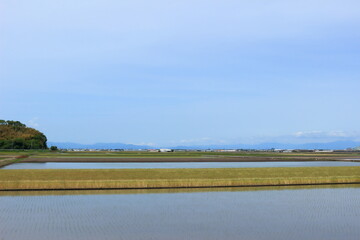 水田と麦畑の風景