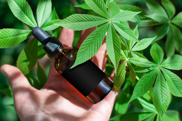 Medicinal cannabis with extract oil in a bottle. Black label.