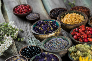 Fresh medicinal herbs on wooden background