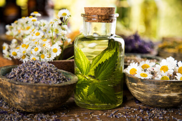 Obraz na płótnie Canvas Natural medicine and mortar, healing herbs background
