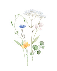 Watercolor vector arrangement of with wildflower flowers.