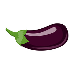 eggplant illustration vector isolated on white background.
