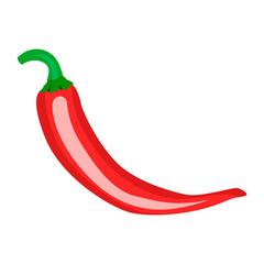 chili pepper illustration vector isolated on white background