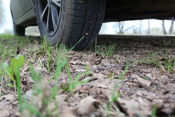 Fototapeta na wymiar wheels and the bottom of the car in the grass on the road, bottom view