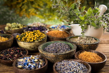 Fresh medicinal herbs on wooden background
