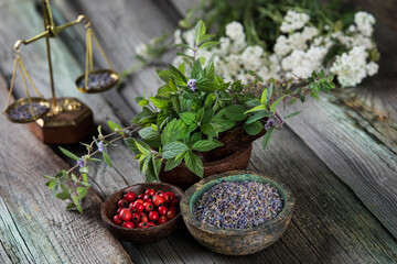 Fresh medicinal herbs on wooden background