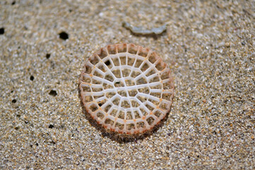 Fototapeta na wymiar A round plastic part with many geometric holes at the beach of Benidorm-Spain. Environmental pollution.