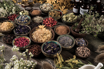 Obraz na płótnie Canvas Fresh medicinal herbs on wooden background