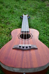 Soprano ukulele bottom view on golden yellow background.