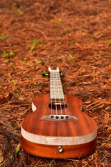Soprano ukulele bottom view on golden yellow background.