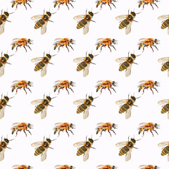 Seamless watercolor bee pattern. Haddrawn background appropriate for textile, wrapping, prints