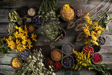 Fresh medicinal herbs on wooden background