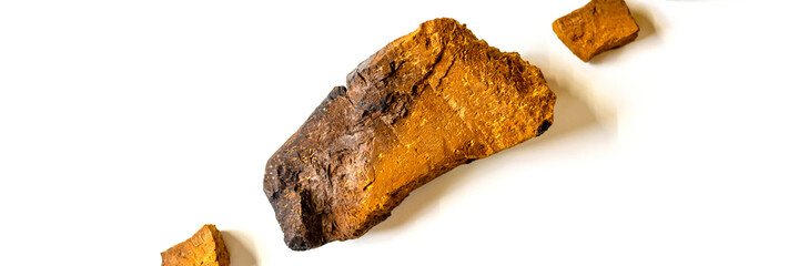 chaga mushroom. broken pieces of birch tree chaga fungus for brewing natural medicinal antitumor, anti-inflammatory and antiviral detox tea, isolation on white background. banner