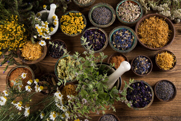 Homeopathy, herbal medicine on wooden table