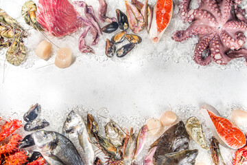 Set of various fresh raw seafood