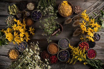 Natural remedy, healing herbs background