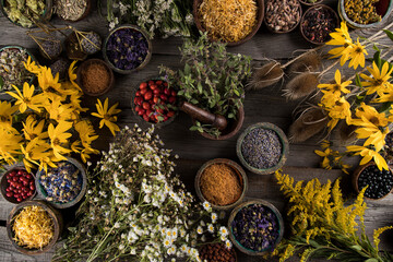 Fresh medicinal herbs on wooden background