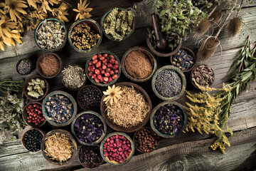 Fresh medicinal herbs on wooden background