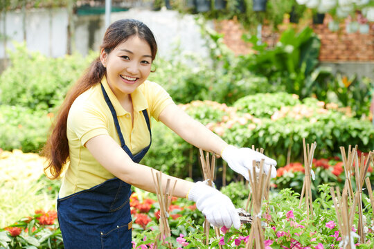 Hppy pretty young woman in denim apron and protective gloves cutting plants with pruner